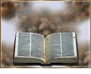 Najbolji prijevod Biblije – kratka poučna priča